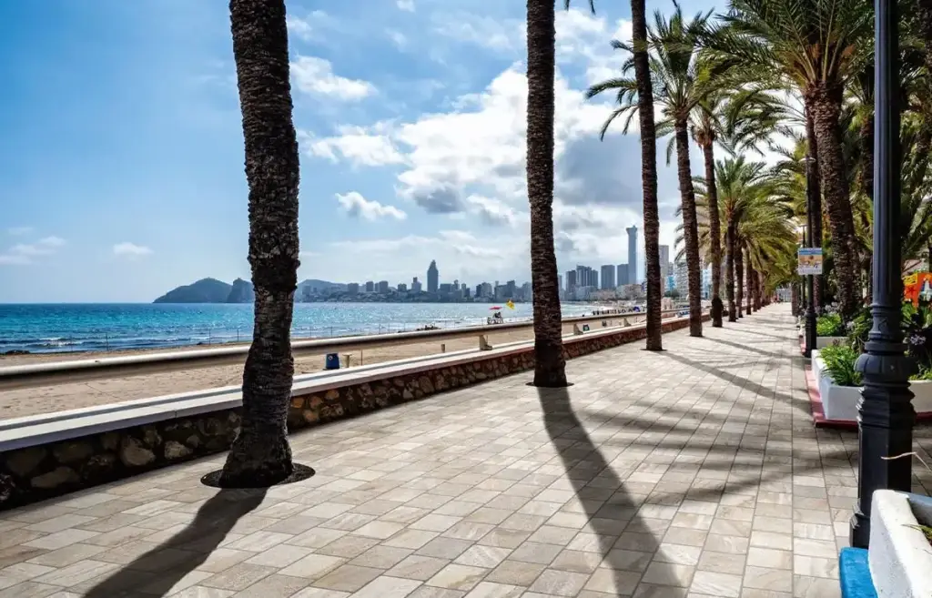 Интерьер Imola Trail18