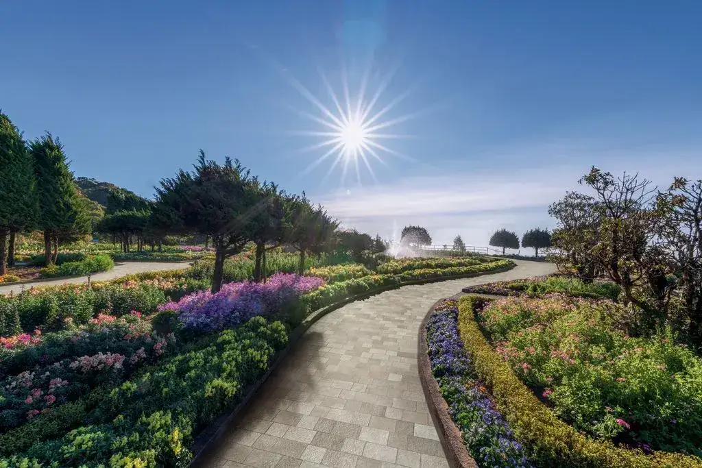 Интерьер Imola Trail - 3