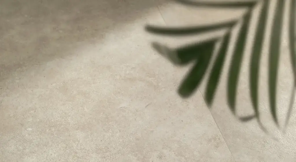 Интерьер Atlas Concorde Boost vision - 48