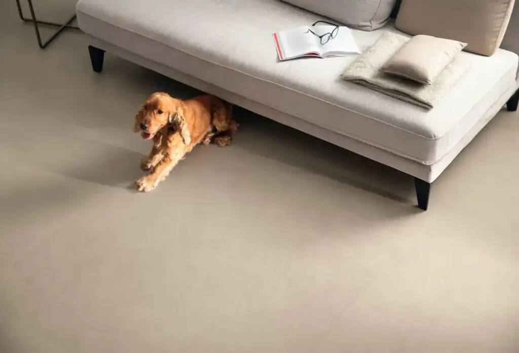 Интерьер Atlas Concorde Boost Natural - 46