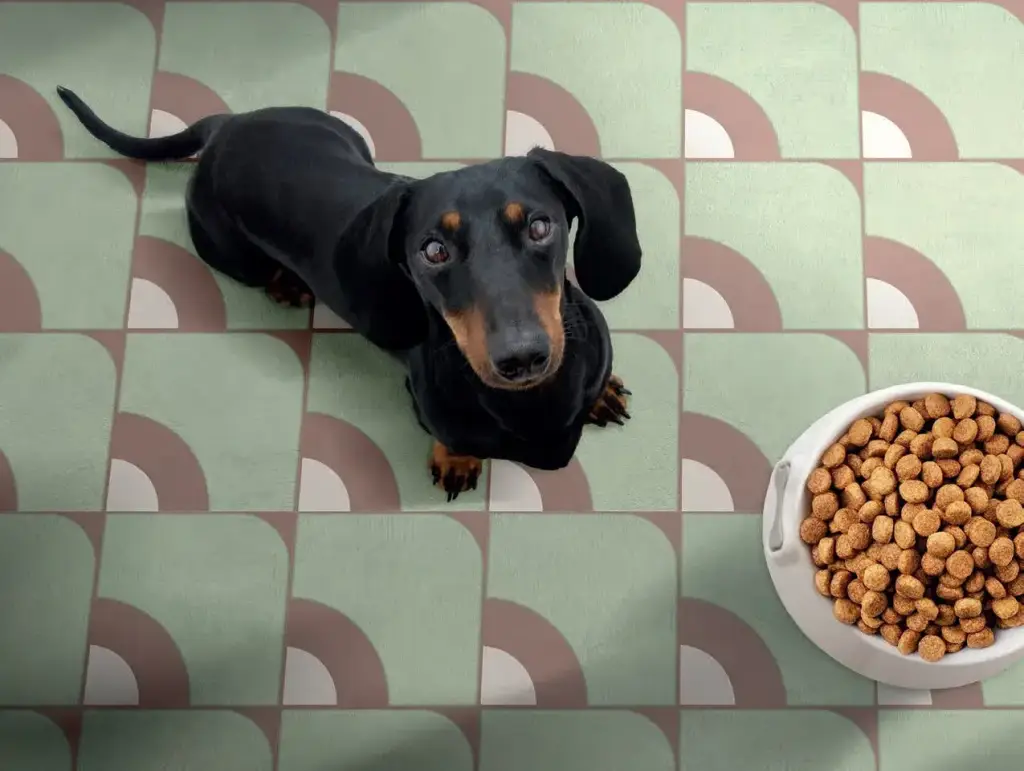 Интерьер ABK 14oraitaliana - 3