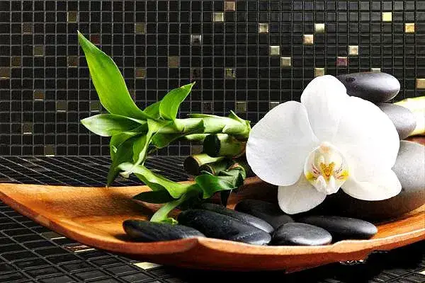 Интерьер Ezarri Cocktail - 7