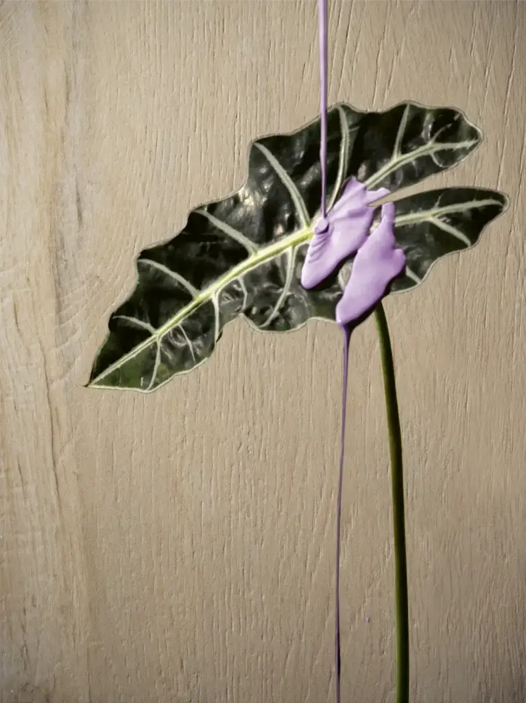 Интерьер Serenissima Cir I Lecci - 10