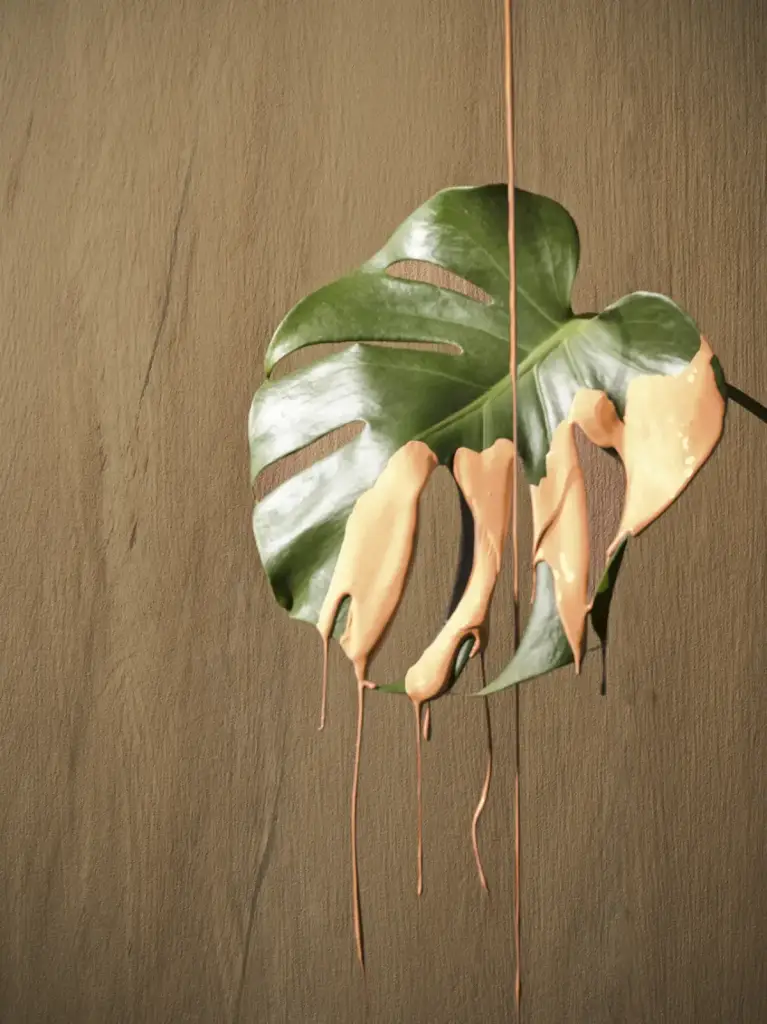 Интерьер Serenissima Cir I Lecci - 25