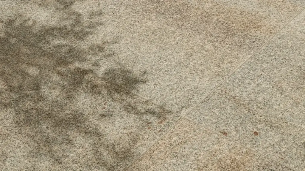 Интерьер Italon Nordica x2 - 9