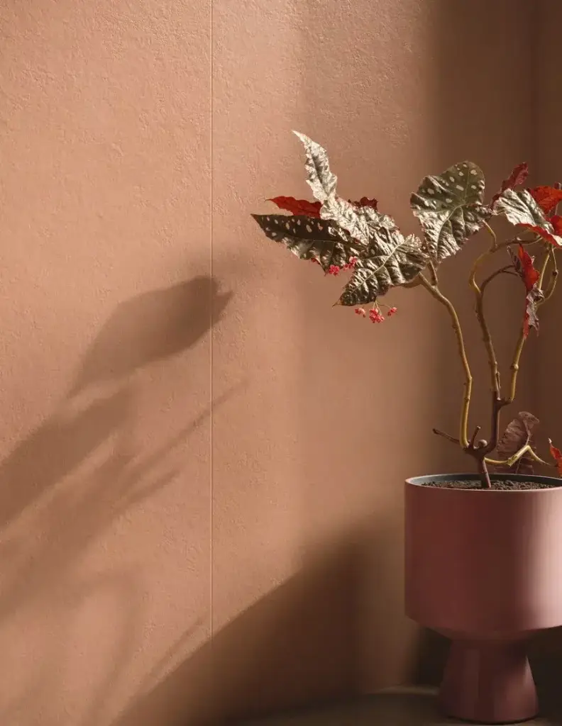 Интерьер Naxos Pigmenta - 16