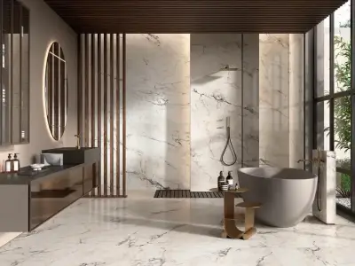 La Faenza Aesthetica