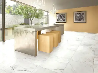 Serenissima Cir Canalgrande