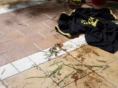 Serenissima Cir Fuel (Diesel)