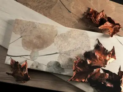 Del Conca Foreste D'Italia