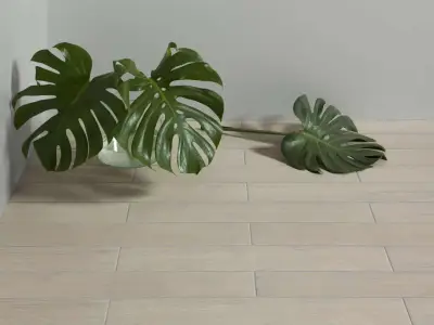 Peronda Argila columbus