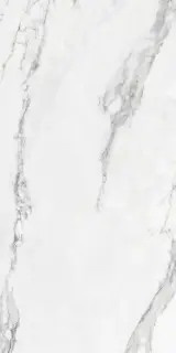 COLORKER INSIGNIA WHITE RECT. MATE 59.5х119.2 M-86