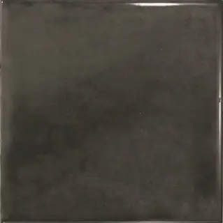 EQUIPE SPLENDOURS BLACK 15х15 EQ-3