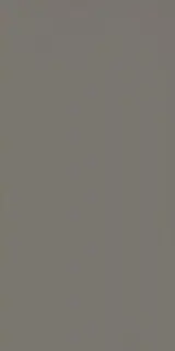 EQUIPE EVOLUTION GRIS OSCURO 7.5х15 EQ-0