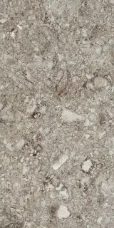 MIRAGE GRA RR 02 NAT SQ 120х278х0.6