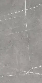 COLORKER NOMADE ARGENT 59.5х119.2 M-83