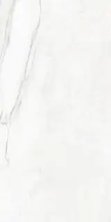 COLORKER DA VINCI WHITE POLISHED 60х120 M-79