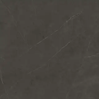 PORCELANOSA XLIGHT LIEM DARK NATURE 120х120x6 G-2528