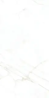 MUSEUM DUAL WHITE NT 60х120x0.9 M-101