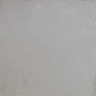 PORCELANOSA STEEL ACERO L 120х120 G-392