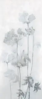 MIRAGE ESPOIR FROID LUC SQ 120х278х0.6