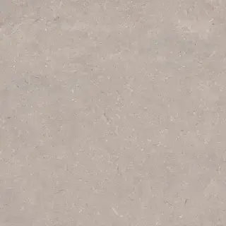 PORCELANOSA CORAL TOPO L 120х120 G-392