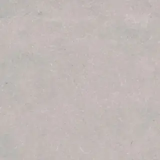 PORCELANOSA CORAL ACERO L 120х120 G-392