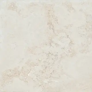 COLORKER ELEMENTS BONE 59.5х59.5 M-70