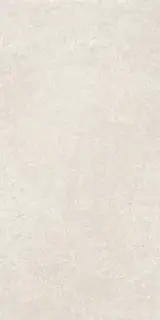 COLORKER NOORDAL BONE 59.5х119.2x0.8 M-83