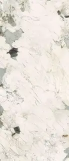 Pat Wh6 278 LP  120x278