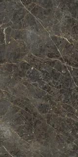 AE GOL6 12 LP 60x120