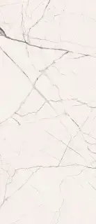 STA VP6 278 LP 120x278