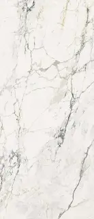 AE PAO6 278 LP 120x278