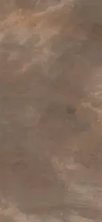 TREX6 260TO LP  120x260 XX