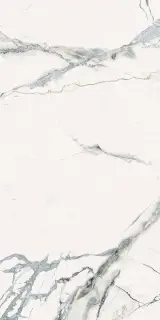 INV WH6 12 RM |60x120