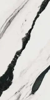 PAN WH6 12 LP |60x120