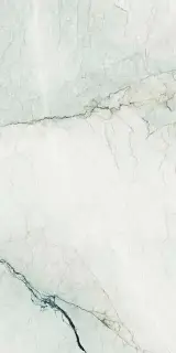 AE CAM6 278 LPM 120x278