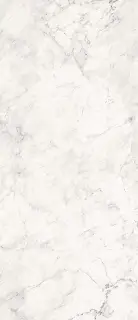 AE CAL6 278 LP 120x278