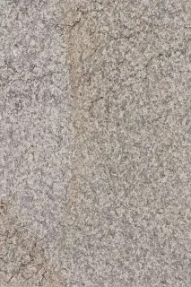 QUAR BIA18 23  |20x30