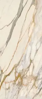 Golden Borg Smooth ZZ|120x278