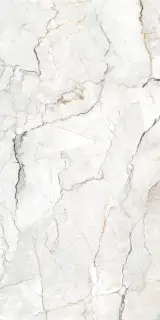 Плитка Geotiles Sauvage Pearl 60x120 Leviglass
