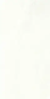 Плитка Geotiles Tholos Perla 60x120