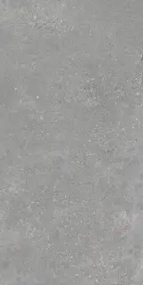 Плитка Geotiles Memory Gris 60x120 Matt
