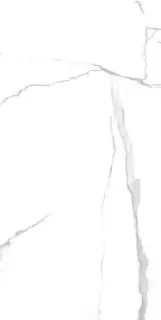 Плитка Geotiles Nilo Blanco 60x120 Leviglass