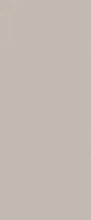 TRUE COLOR 50X120 FOSSIL MATT