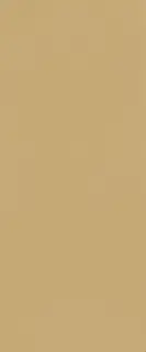 TRUE COLOR 50X120 CARAMEL MATT