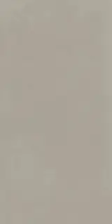 Syntech TAUPE 30X60 R9 RT