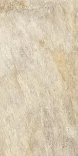 Norde Platino 60x120 20mm