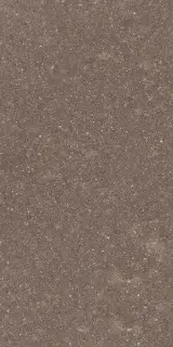 Limes Porfido Warm R11 22,5X45