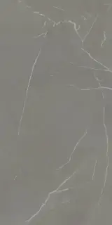 IN-SIDE Pietra Piasentina Grigio Fiammato 120x300 5+